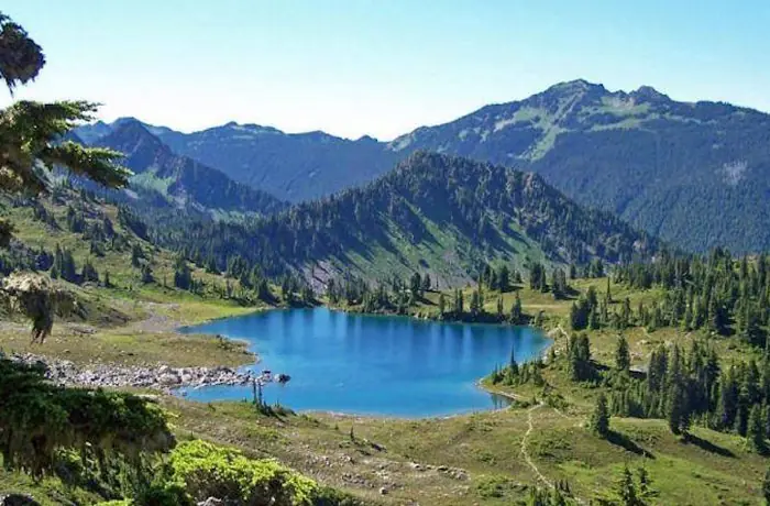 Sila